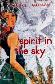 Spirit in the Sky