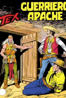 Copertina di Tex n.379 – Guerriero Apache