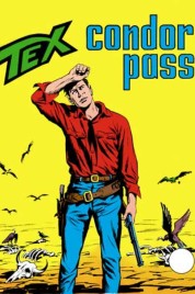 Tex n.134 – Condor Pass