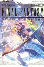 Final Fantasy: Lost Stranger n.2