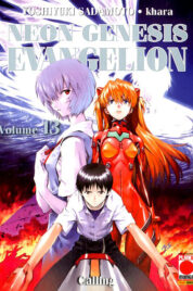 Neon Genesis Evangelion n.13