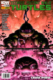 Teenage Mutant Ninja Turtles n.48