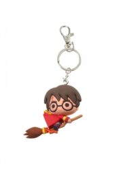 Hp Harry in quidditch robes key