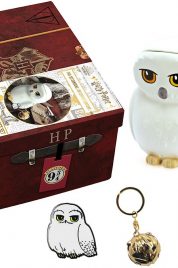 Harry Potter Suitcase Gift Set