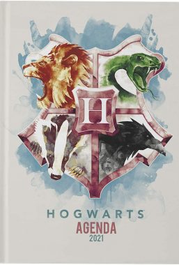 Copertina di Harry Potter Hogwarts 2021 Diary