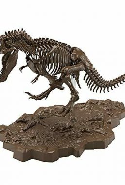 Copertina di Imaginary Skeleton Tyrannosaurus