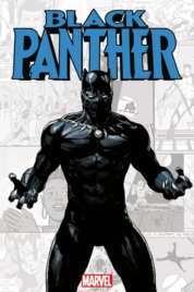 Marvel-Verse – Black Panther