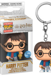 Harry Potter Chamber Anniversary Harry Pocket Pop