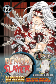 Demon Slayer n.22 Limited Edition