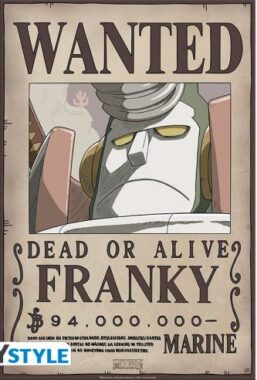 Copertina di One Piece Wanted Franky new 52×38