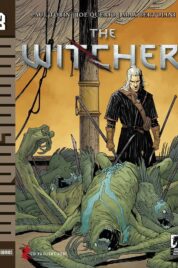 The Witcher n.3
